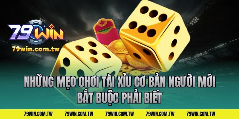 Những mẹo chơi tài xỉu cơ bản người mới bắt buộc phải biết
