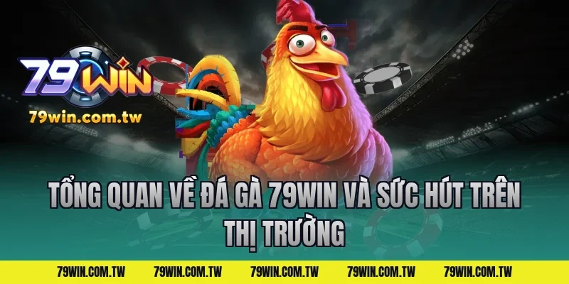 Tổng quan về đá gà 79win và sức hút trên thị trường